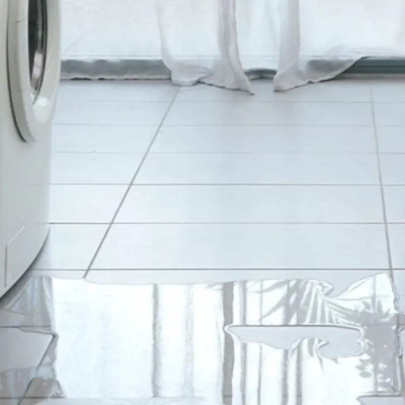 Appliance Leak Cleanup in Mancelona, MI