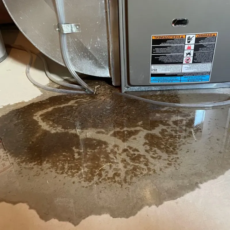 Pipe Burst and Leak Restoration in Mancelona, MI